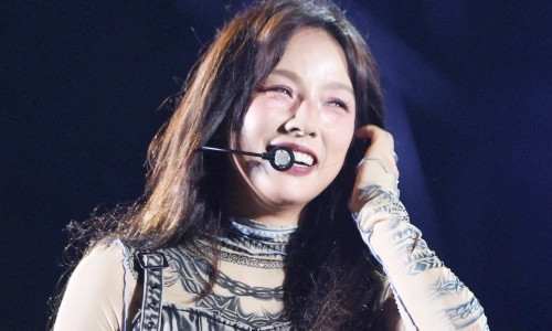 Nữ ca sĩ nổi tiếng bị thương dẫn đến biến dạng ngón tay vì bị chó cắn - Ảnh 2.