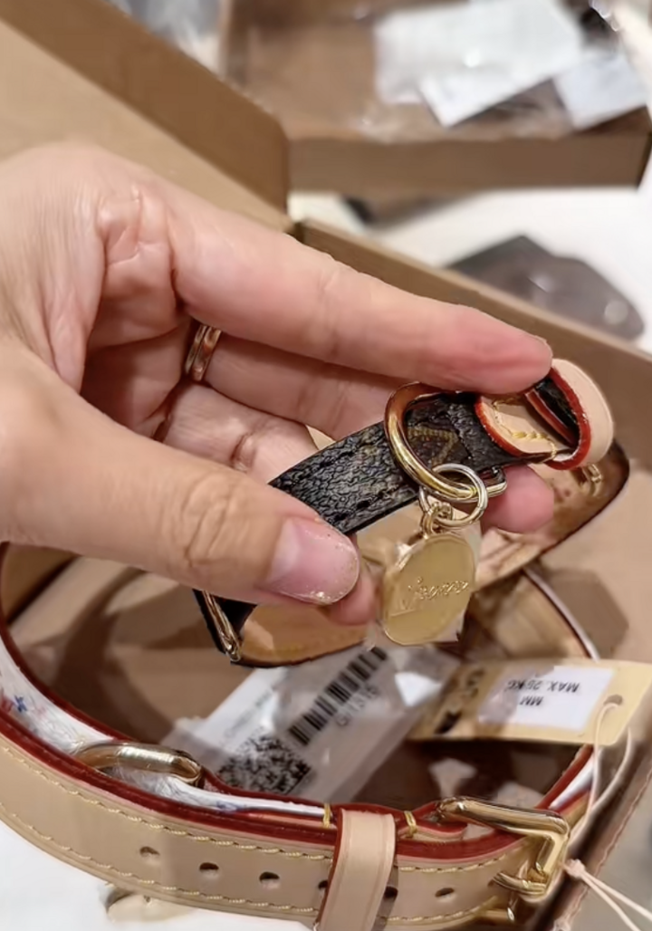 Tranh cãi chuyện cô gái Hà Nội chi 50 triệu đồng tổ chức sinh nhật cho chó- Ảnh 3.