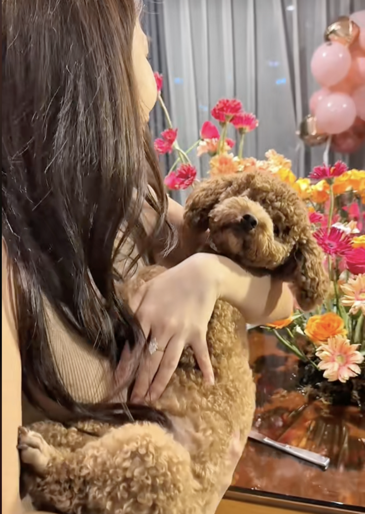 Tranh cãi chuyện cô gái Hà Nội chi 50 triệu đồng tổ chức sinh nhật cho chó- Ảnh 6.