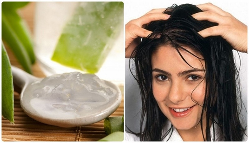 Ủ tóc bằng nha đam có tác dụng gì?- Ảnh 2.