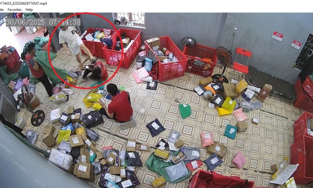 Hải Phòng ship bơ.jpeg