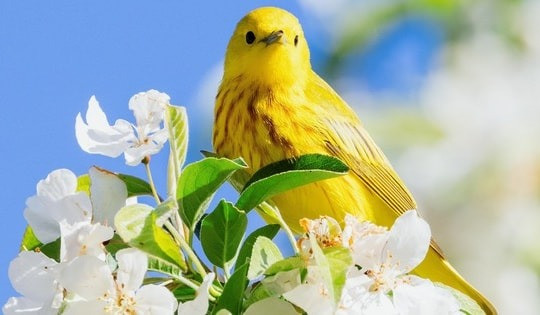 4 tháng Âm lịch sinh ra những đứa trẻ phúc khí, sự nghiệp sau này rạng rỡ hơn người- Ảnh 3.