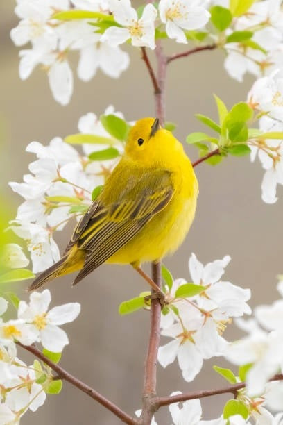 4 tháng Âm lịch sinh ra những đứa trẻ phúc khí, sự nghiệp sau này rạng rỡ hơn người- Ảnh 2.