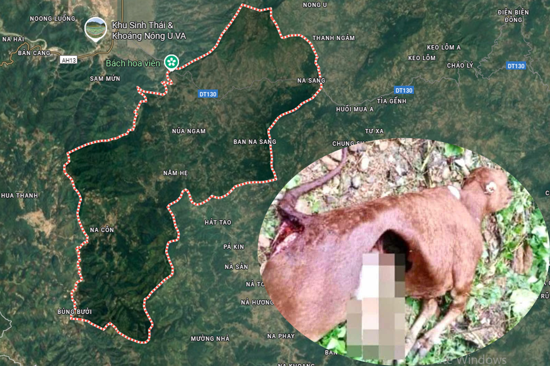 soi hoang dien bien.jpg