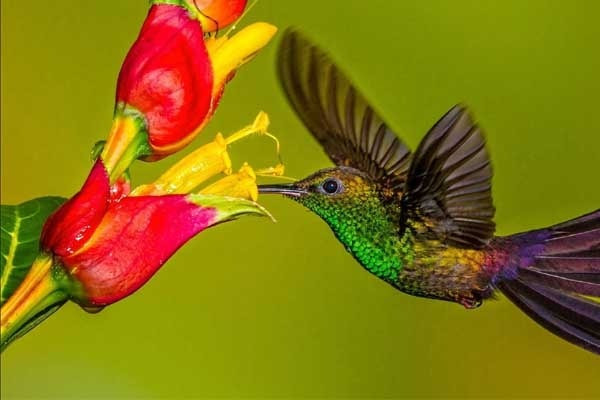 Tháng sinh Âm lịch của người tham vọng, không ngừng vươn lên trong sự nghiệp- Ảnh 4.