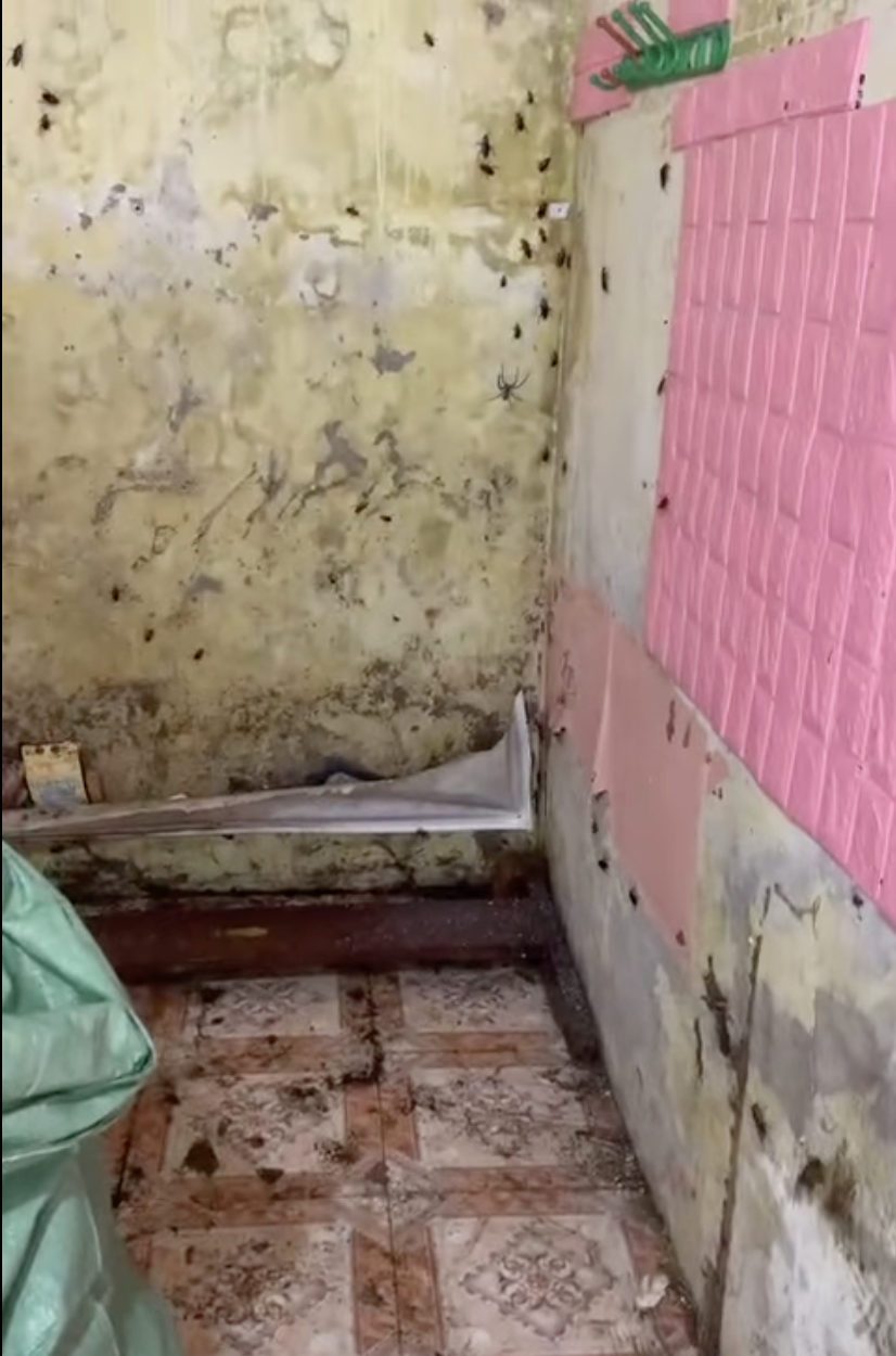 Chủ trọ tiết lộ thông tin sốc về cô gái ở bẩn kinh hoàng giòi bọ bò khắp phòng ở Ninh Bình