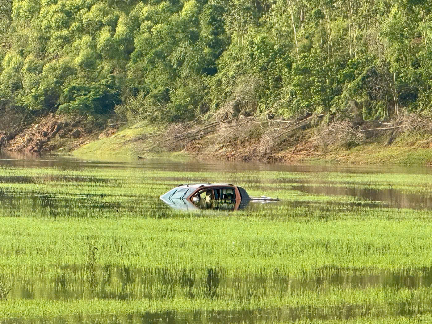 46747a66 d268 4488 90de bc47485ab43f.jpeg