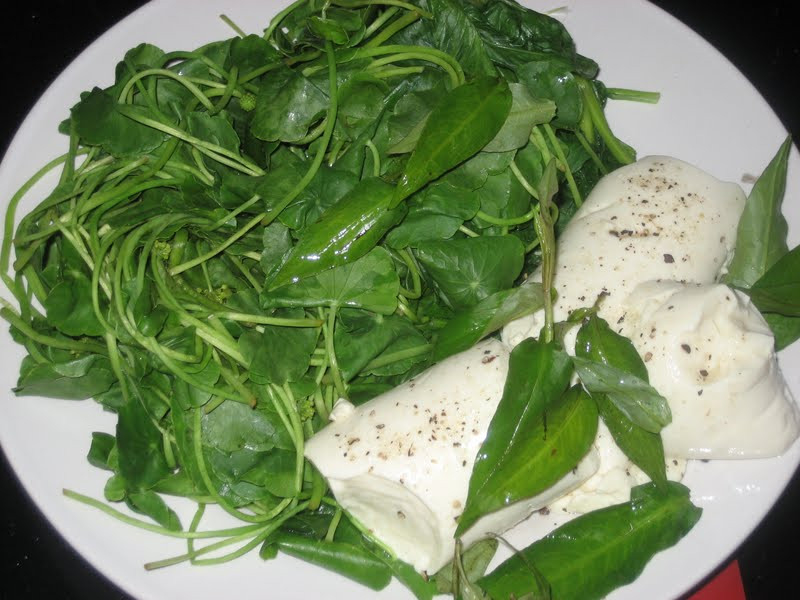 Loại rau mọc hoang ven đường nhưng giúp thanh lọc gan, giảm mỡ máu cực hiệu quả- Ảnh 2.