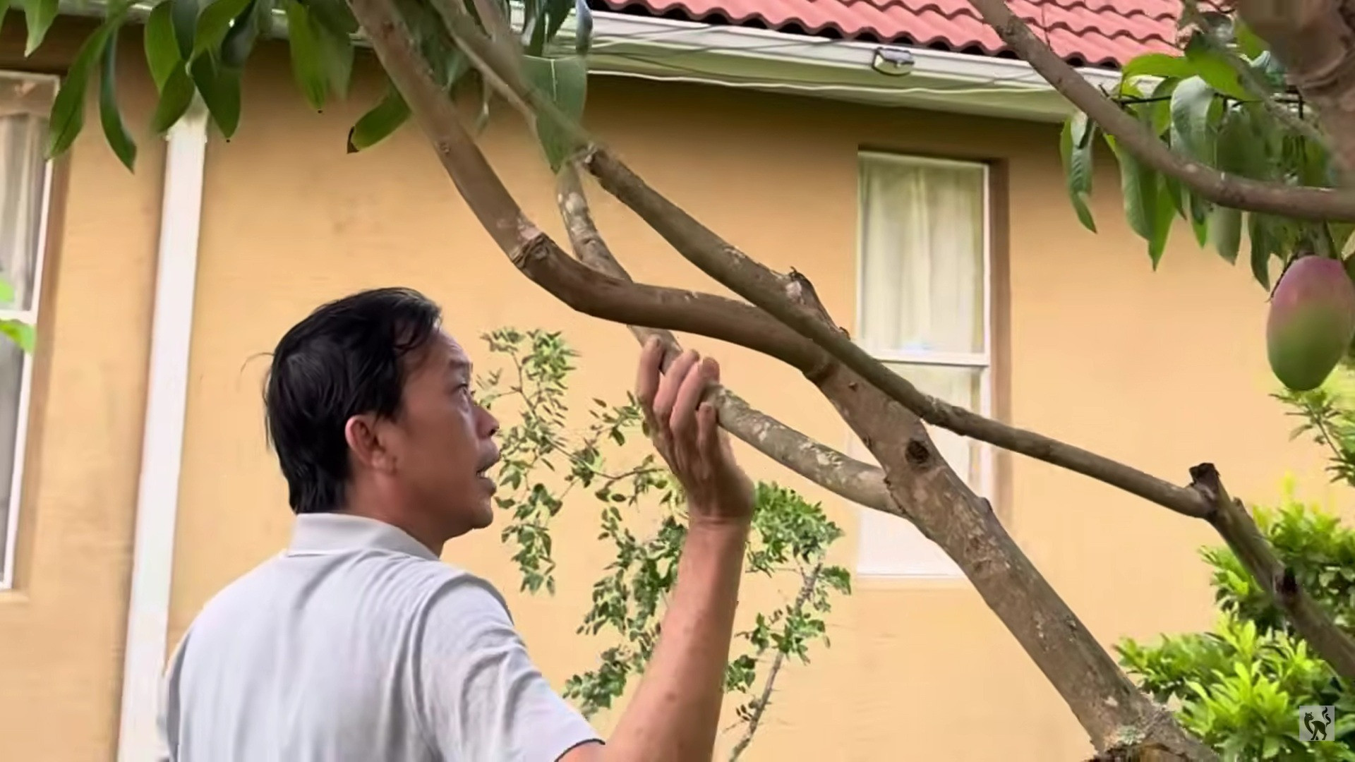 Mắt chữ O mồm chữ A trước cơ ngơi khủng của Hoài Linh tại Mỹ