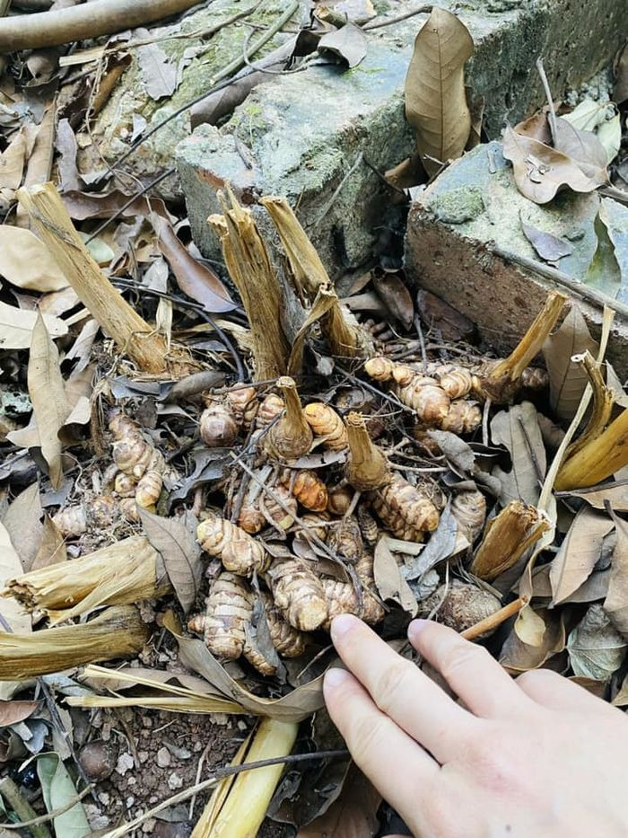 Không gian sống của cựu MC VTV đang gây ồn ào 'vụ Làng Háo Hức'- Ảnh 9.