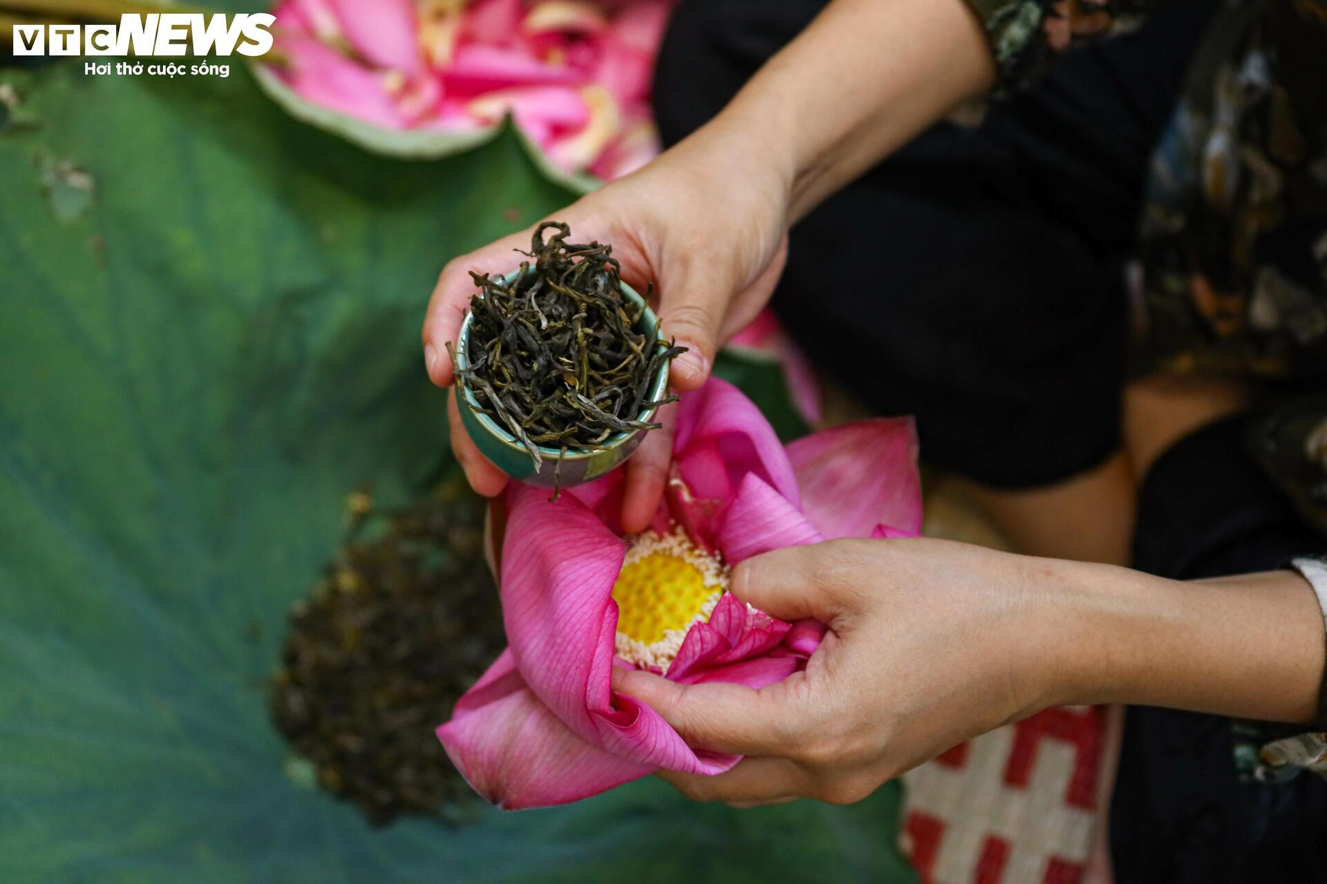 Loại trà đắt đỏ nhất Hà Nội, giá hơn 10 triệu đồng/kg được chế biến thế nào? - 14