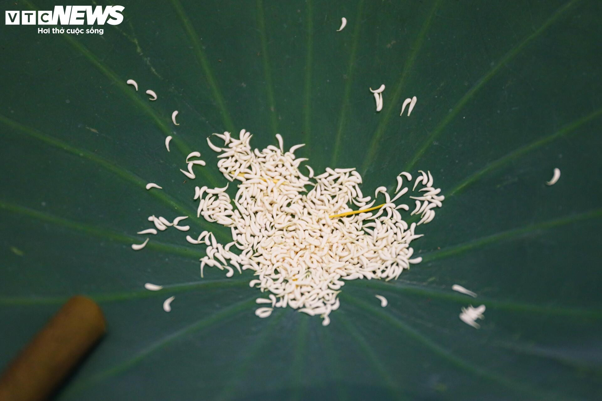 Loại trà đắt đỏ nhất Hà Nội, giá hơn 10 triệu đồng/kg được chế biến thế nào? - 11