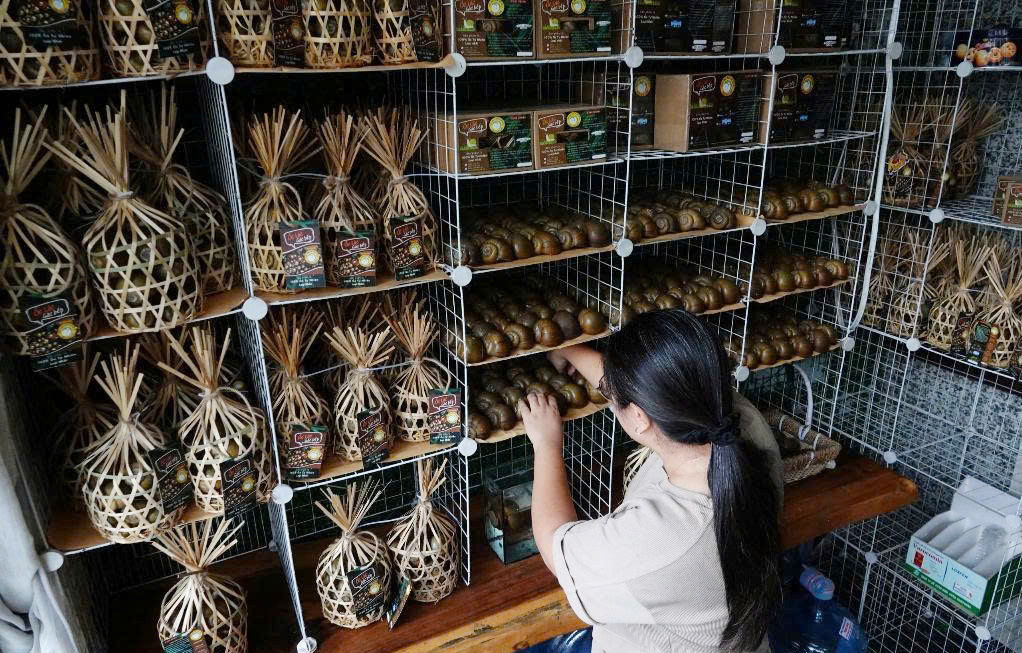 Ốc gác bếp 65.jpg