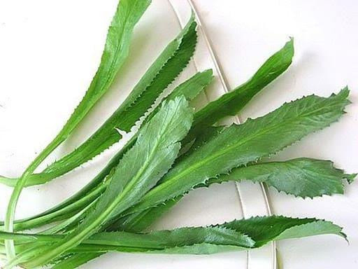 Thứ rau xanh trộn lẫn trong mớ rau sống nếu dùng đều đặn sẽ giúp hỗ trợ phòng chống ung thư- Ảnh 1.