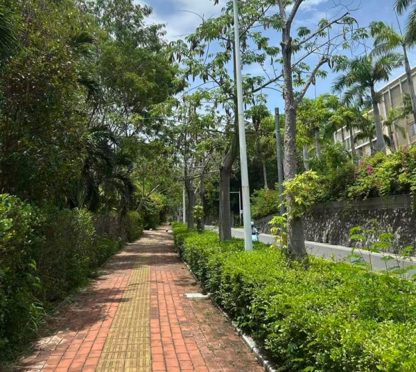 Đi bộ về khách sạn, cô gái 27 tuổi bị rắn cắn tử vong- Ảnh 1.