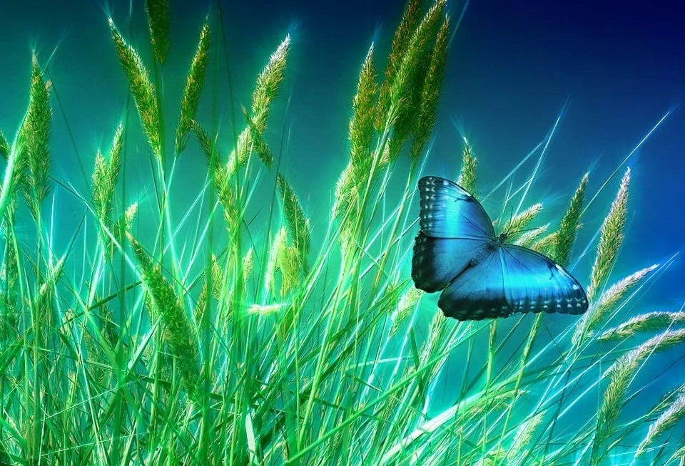 Điềm lành từ ngày sinh Âm lịch: Số cuối quyết định phú quý, may mắn tuổi xế chiều- Ảnh 4.