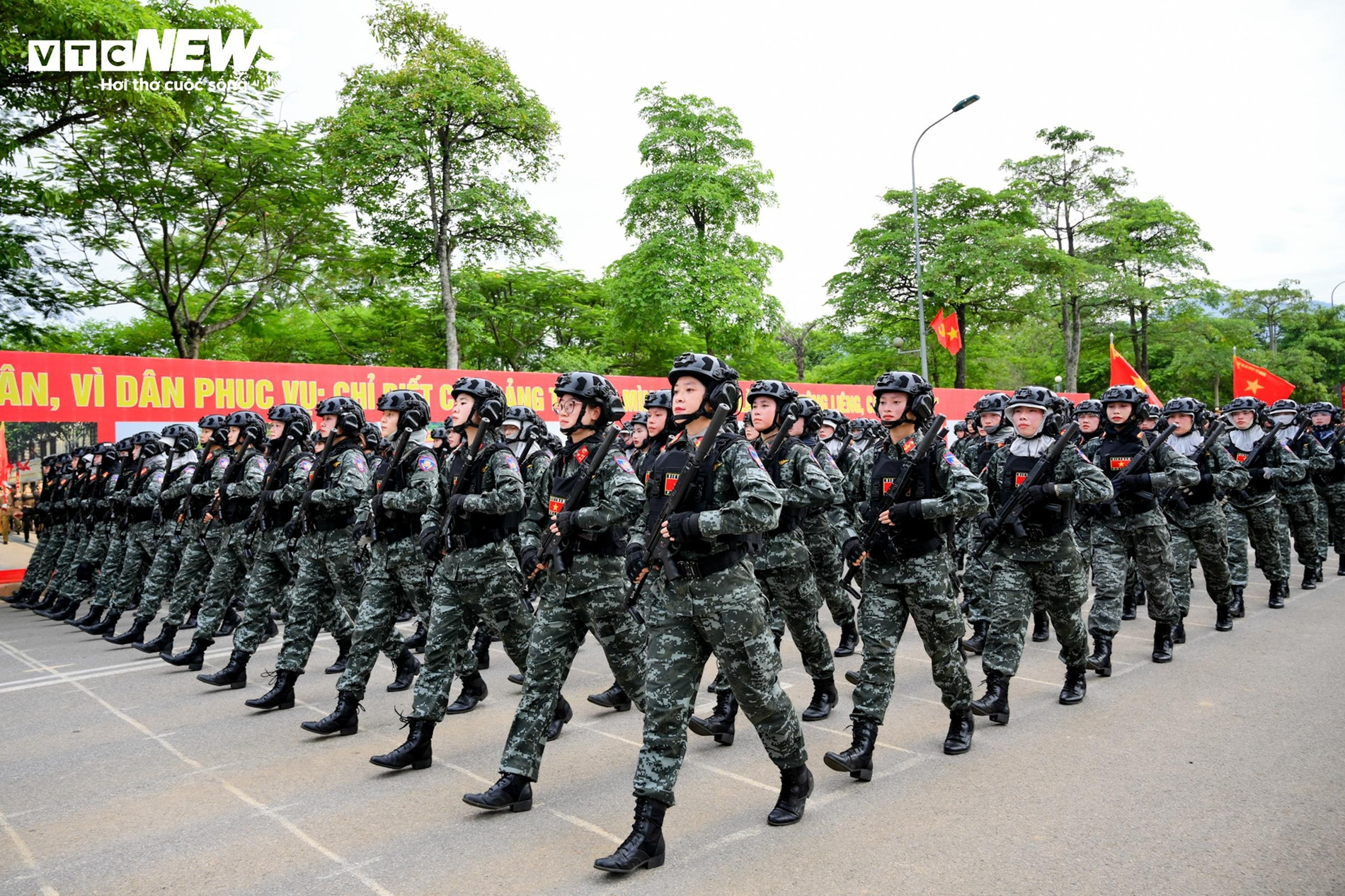 chien si 1.jpg