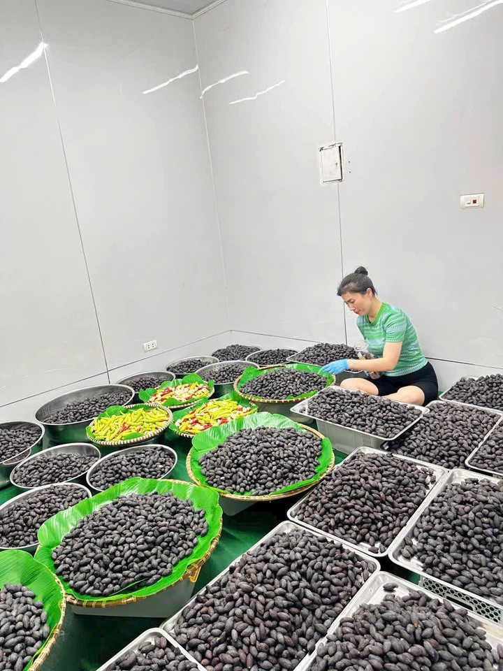 Chị Hiền từng khiến chị em yêu bếp mê mẩn khi chia sẻ góc bếp với những rổ trám nếp tươi ngon.
