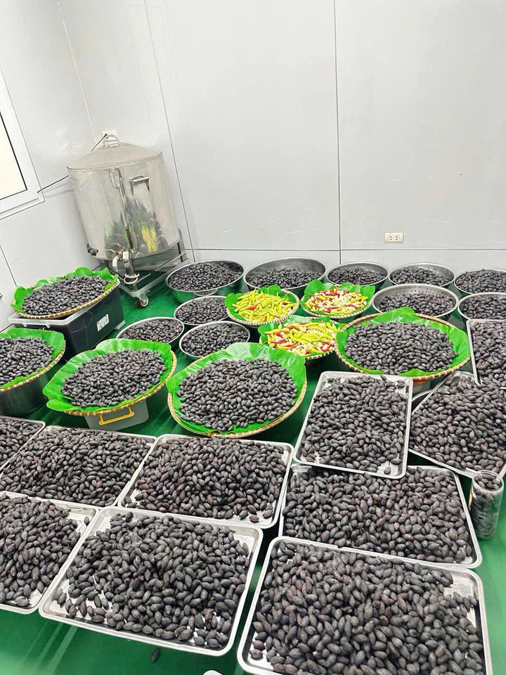 Trám nếp là món ăn dân dã nhưng đầy tinh tế.