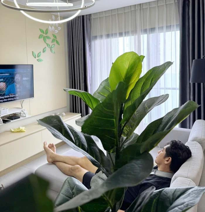 Huỳnh Anh Tuấn bất ngờ xuất hiện sau đột quỵ với hình ảnh khiến khán giả xúc động - Ảnh 3.