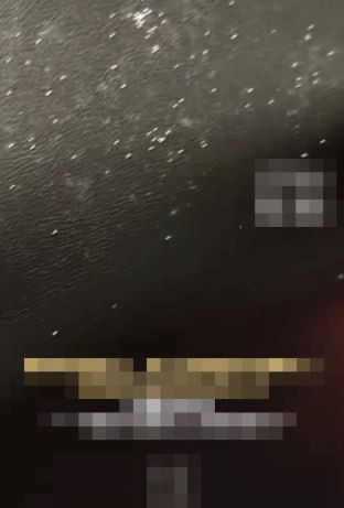 Vừa ngồi xuống ghế, người phụ nữ tái mặt khi chứng kiến cảnh tượng nổi da gà- Ảnh 2.