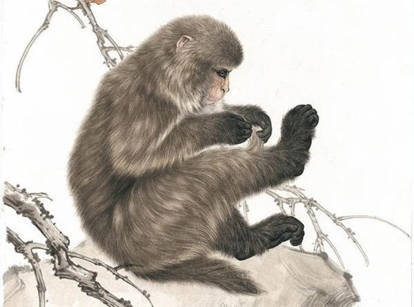 Tử vi 12 con giáp thứ Ba ngày 1282025