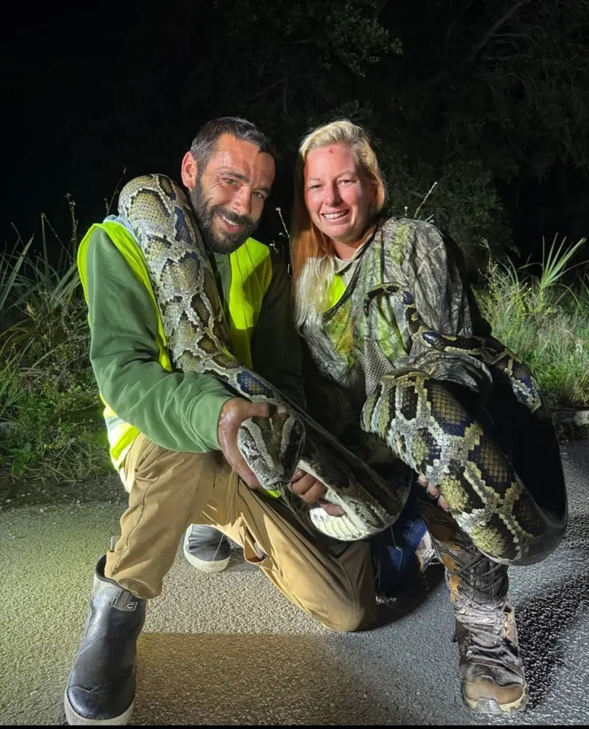 Người đàn ông bắt được 87 con trăn trong một tháng, kiếm bộn tiền - Ảnh 1.