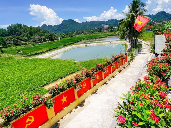 Cặp vợ chồng Nghệ An làm con đường cờ đỏ sao vàng đón đại lễ 2/9 - 1