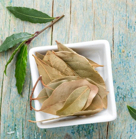 Loại lá ở Việt Nam nhiều người cho nhau miễn phí, ra nước ngoài giá 2 triệu đồng/kg - Ảnh 3.