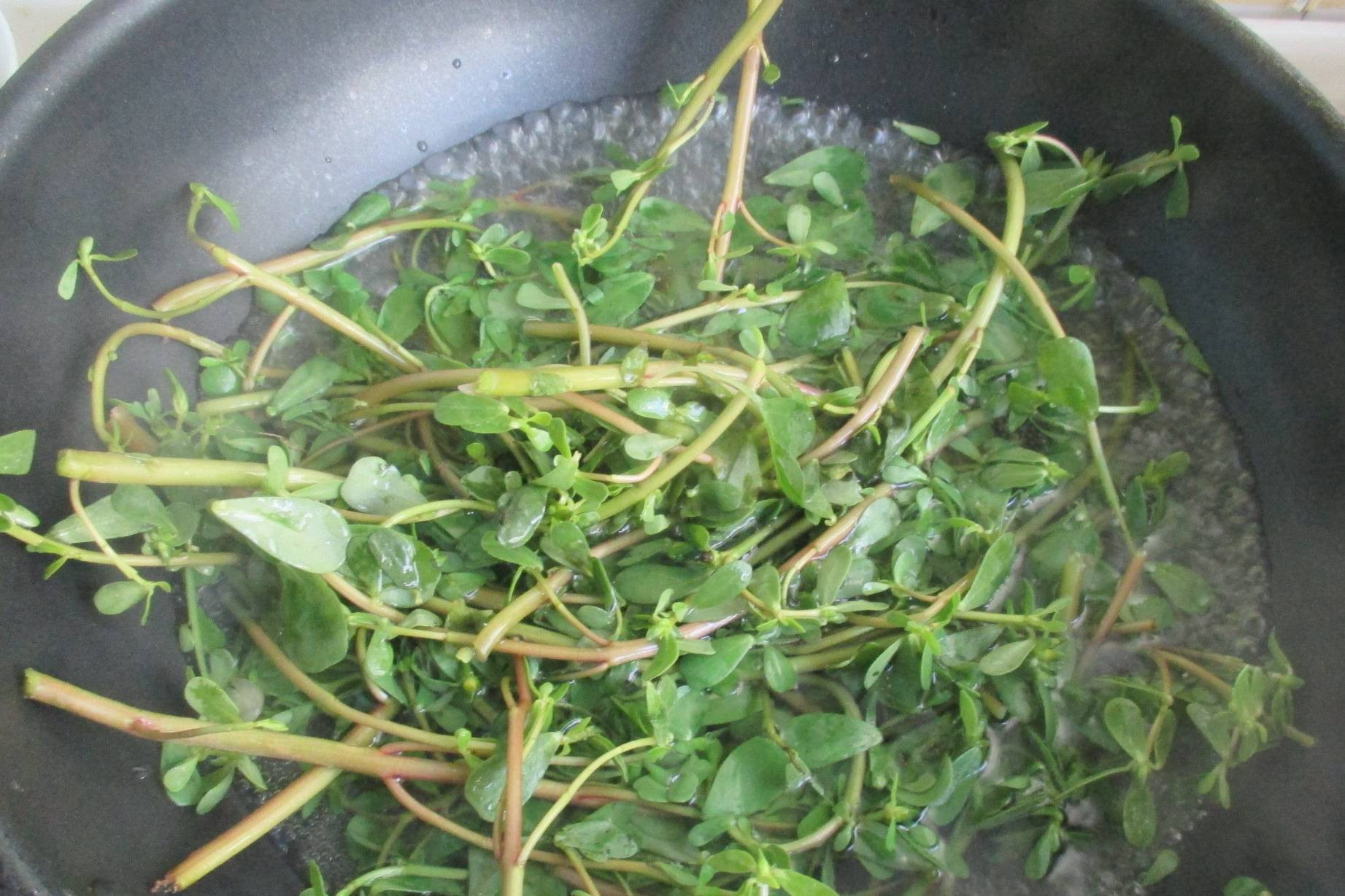Loại rau ít ngậm thuốc trừ sâu nhất chợ, hỗ trợ thải độc, tốt cho sức khỏe người bị tiểu đường- Ảnh 15.