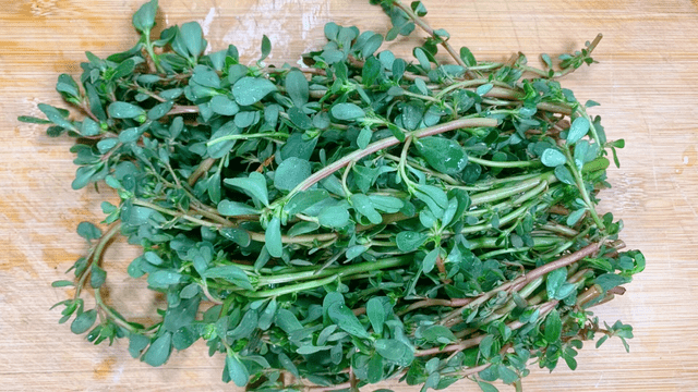 Loại rau ít ngậm thuốc trừ sâu nhất chợ, hỗ trợ thải độc, tốt cho sức khỏe người bị tiểu đường- Ảnh 4.