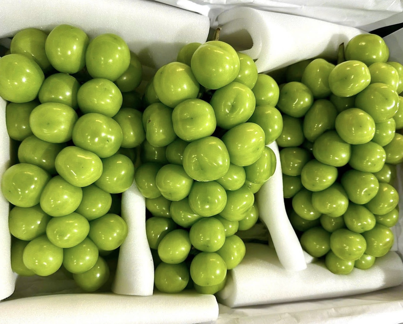 nho sua Trung Quốc