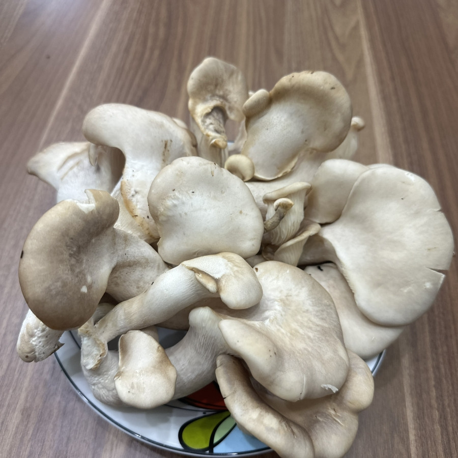 Được ví như ‘hải sản của đất’, đây là siêu thực phẩm cực sẵn ở chợ Việt giúp kiểm soát đường huyết tốt, chế biến được nhiều món ngon- Ảnh 2.