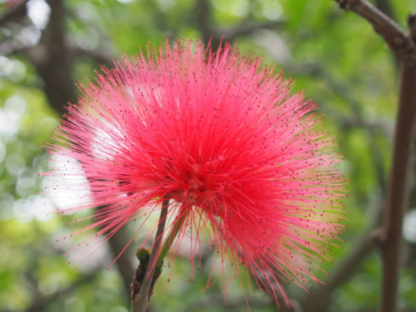 Từ nay đến cuối tháng 8 dương lịch, 3 con giáp chuyển bại thành thắng, rộng đường thăng tiến, năng lượng giàu có vây quanh, tiền đẻ ra tiền  - Ảnh 3