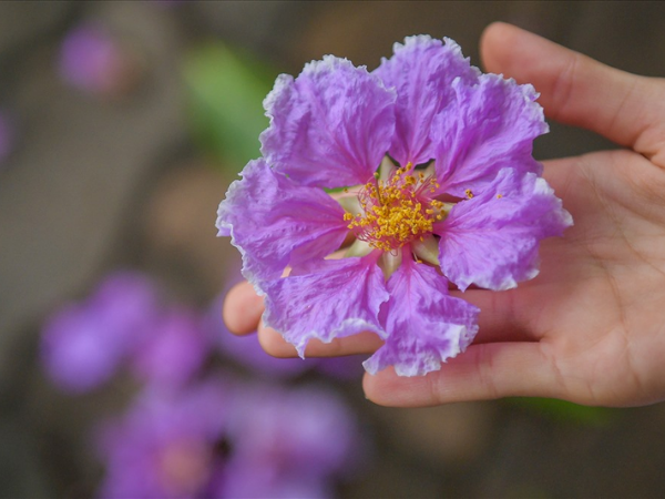 Từ nay đến cuối tháng 8 dương lịch, 3 con giáp chuyển bại thành thắng, rộng đường thăng tiến, năng lượng giàu có vây quanh, tiền đẻ ra tiền  - Ảnh 1