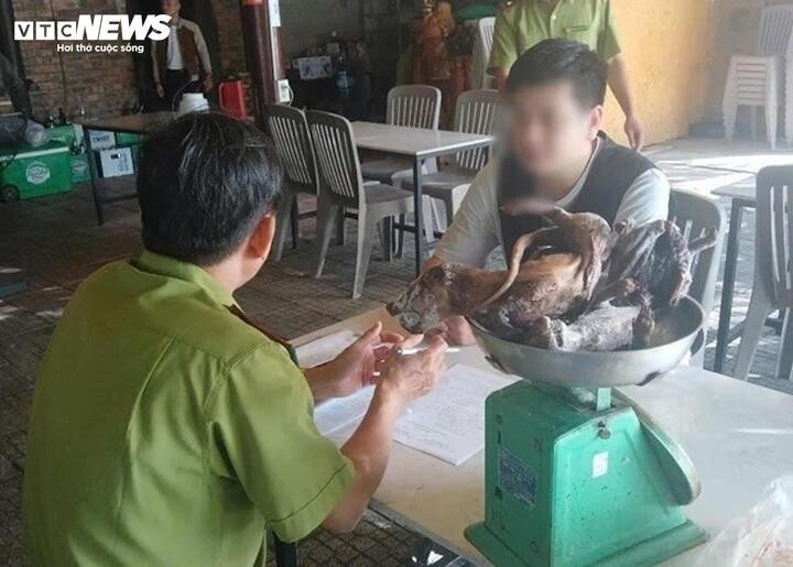 2 con chồn bạc má đã chết được phát hiện trong tủ lạnh nhà hàng ở Huế tháng 9/2024 trước khi bị mang chế biến thành món đặc sản.