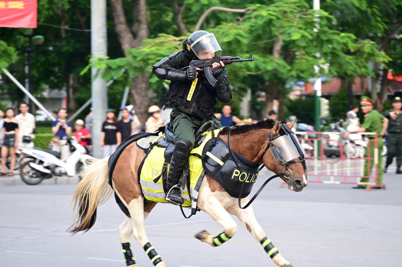 kỵ binh đệp 0\.jpeg