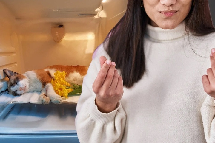 Chủ thú cưng trả tiền cho nhà ngoại cảm để giao tiếp với thú cưng đã chết.