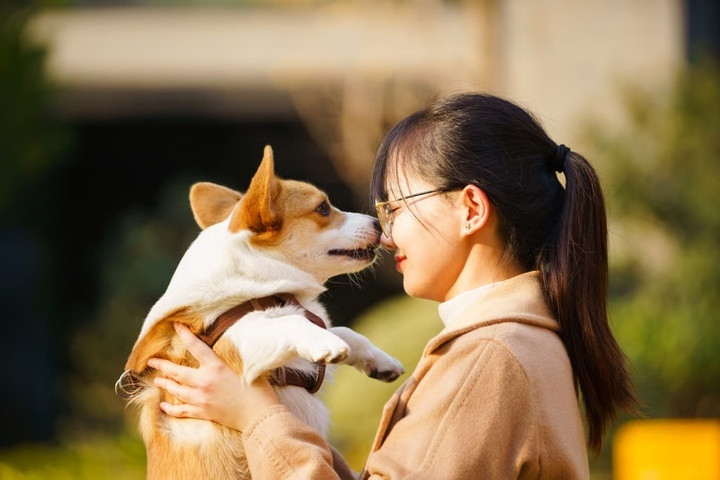 Nhiều người đang đau buồn vì thú cưng qua đời bị dụ vào nhóm trò chuyện trực tuyến để lừa tiền. (Ảnh: Getty Images)