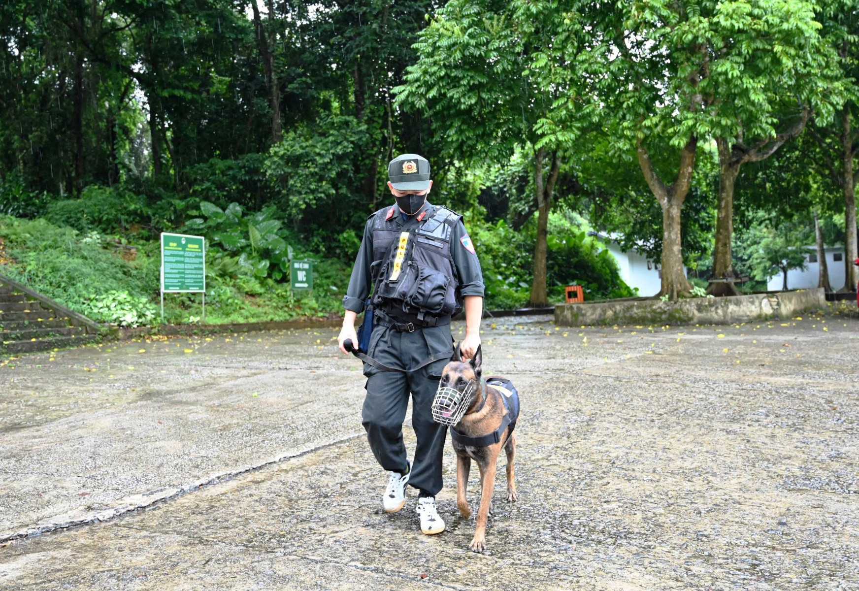 z6915547805309_2a9dc61692bd7c4bf25cd286899c5645.jpg