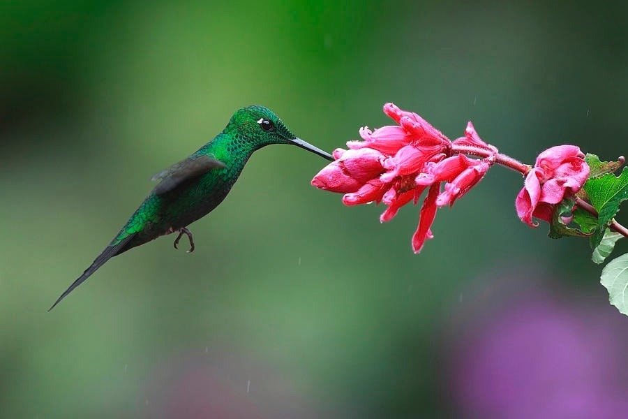 Tháng sinh Âm lịch tiết lộ vận mệnh: Người sinh vào những tháng này cả đời thuận lợi, hanh thông - Ảnh 1.