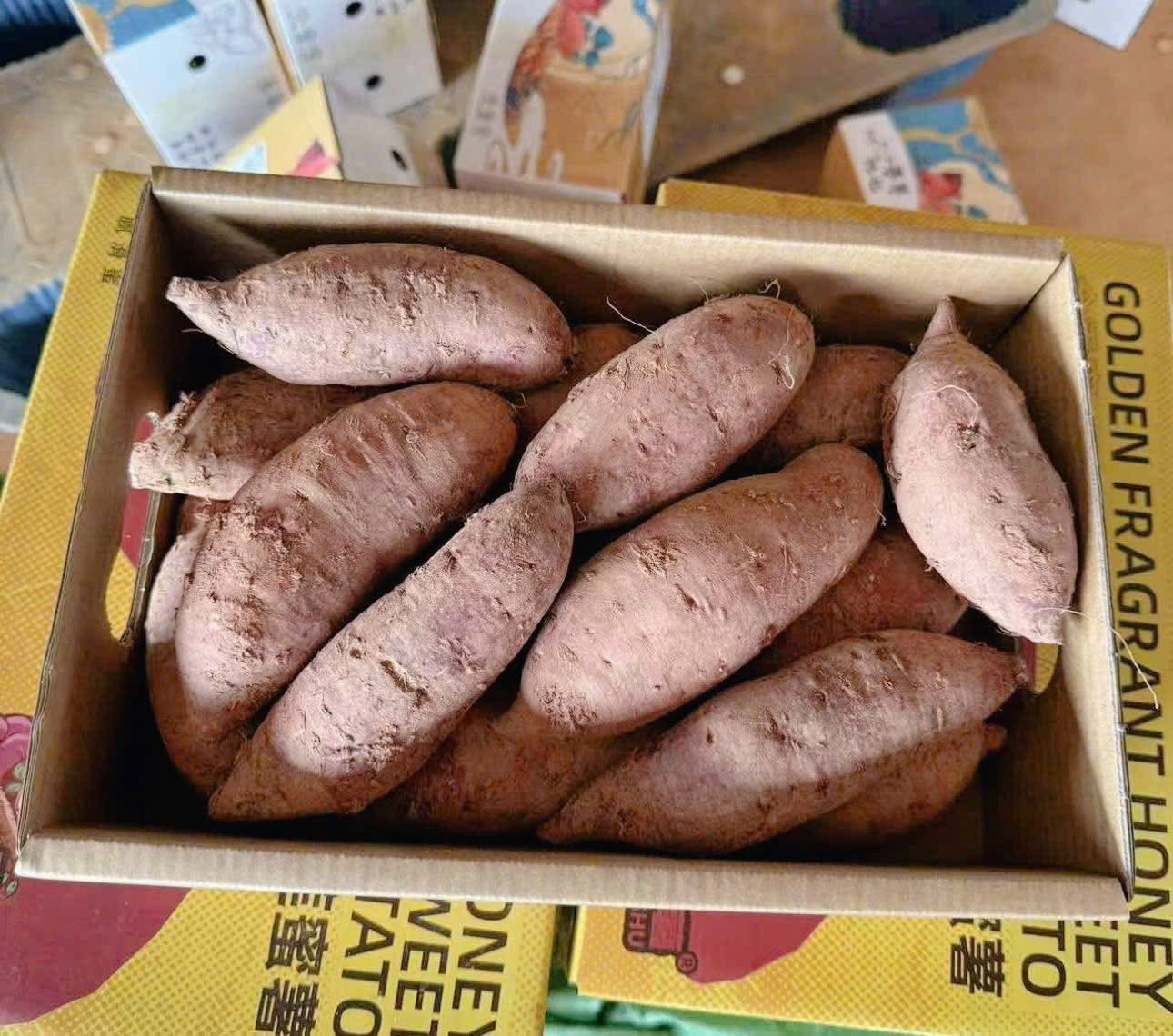 khoai lang sau rieng