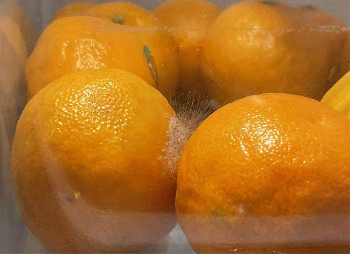 10 loại thực phẩm mà tế bào ung thư yêu thích Nhiều người tiêu thụ 78 loại mỗi ngày