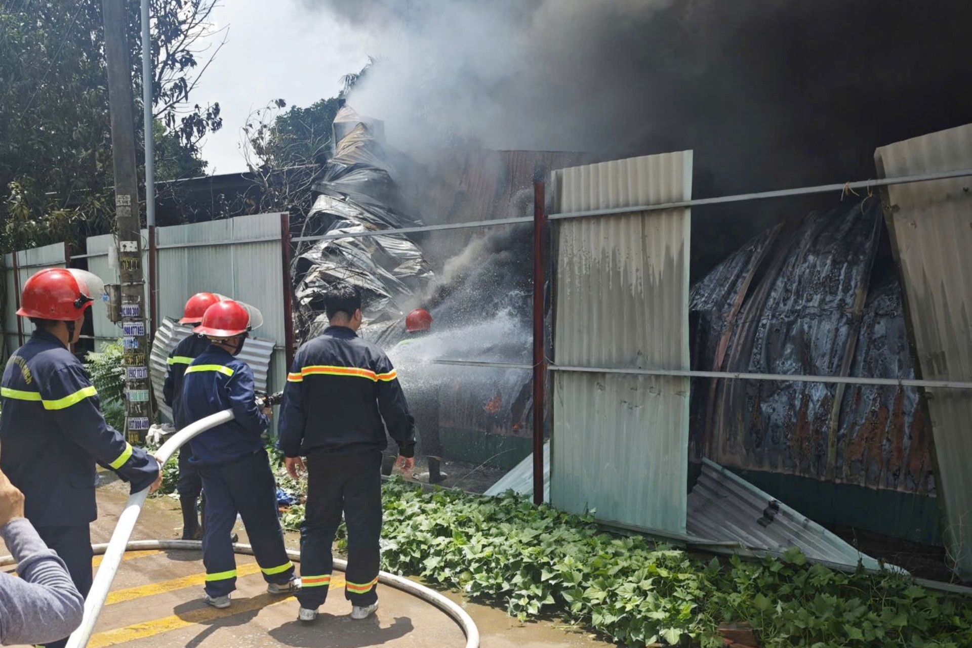 chay xuong mut xop.jpg