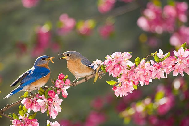 Tháng sinh Âm lịch của người đã thông minh lại còn chăm chỉ nên gặp nhiều cơ hội phát tài- Ảnh 3.