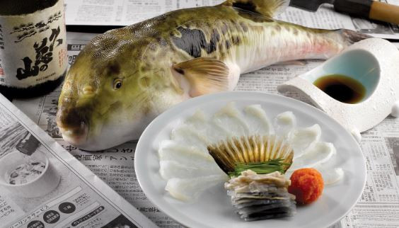 Người đàn ông 47 tuổi tử vong sau khi ăn cá do bạn tặng - Ảnh 2.