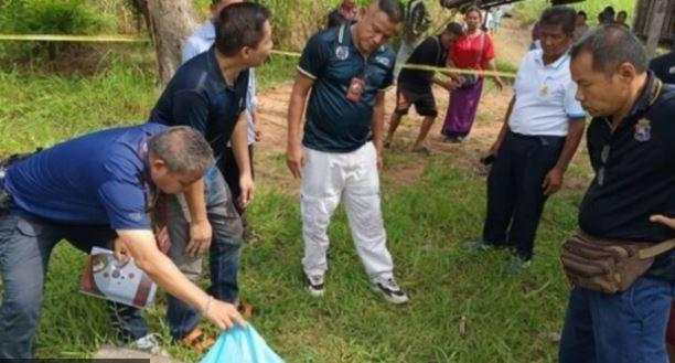 Phát hiện mùi bất thường khi đi chặt mía, người dân sốc nặng khi nhìn vào lò than - Ảnh 1.