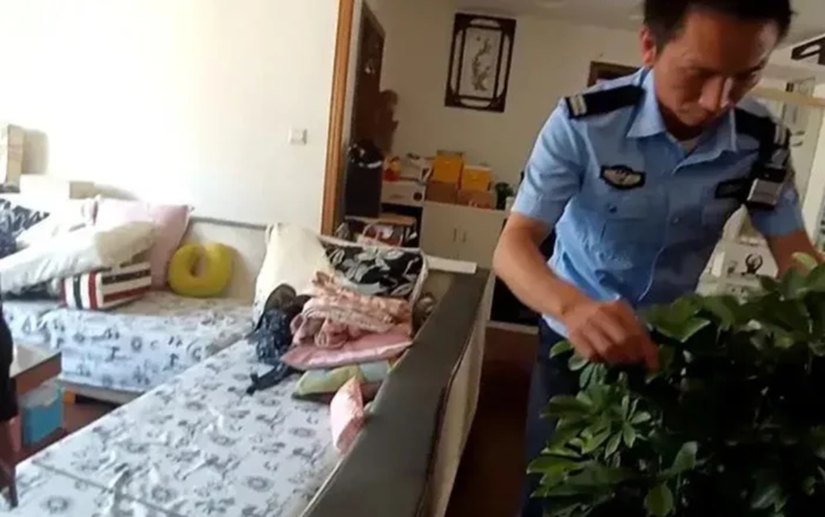 Vừa mở cửa vào nhà, cặp vợ chồng hoảng hốt khi thấy cảnh tượng đáng sợ trong phòng khách - Ảnh 2.