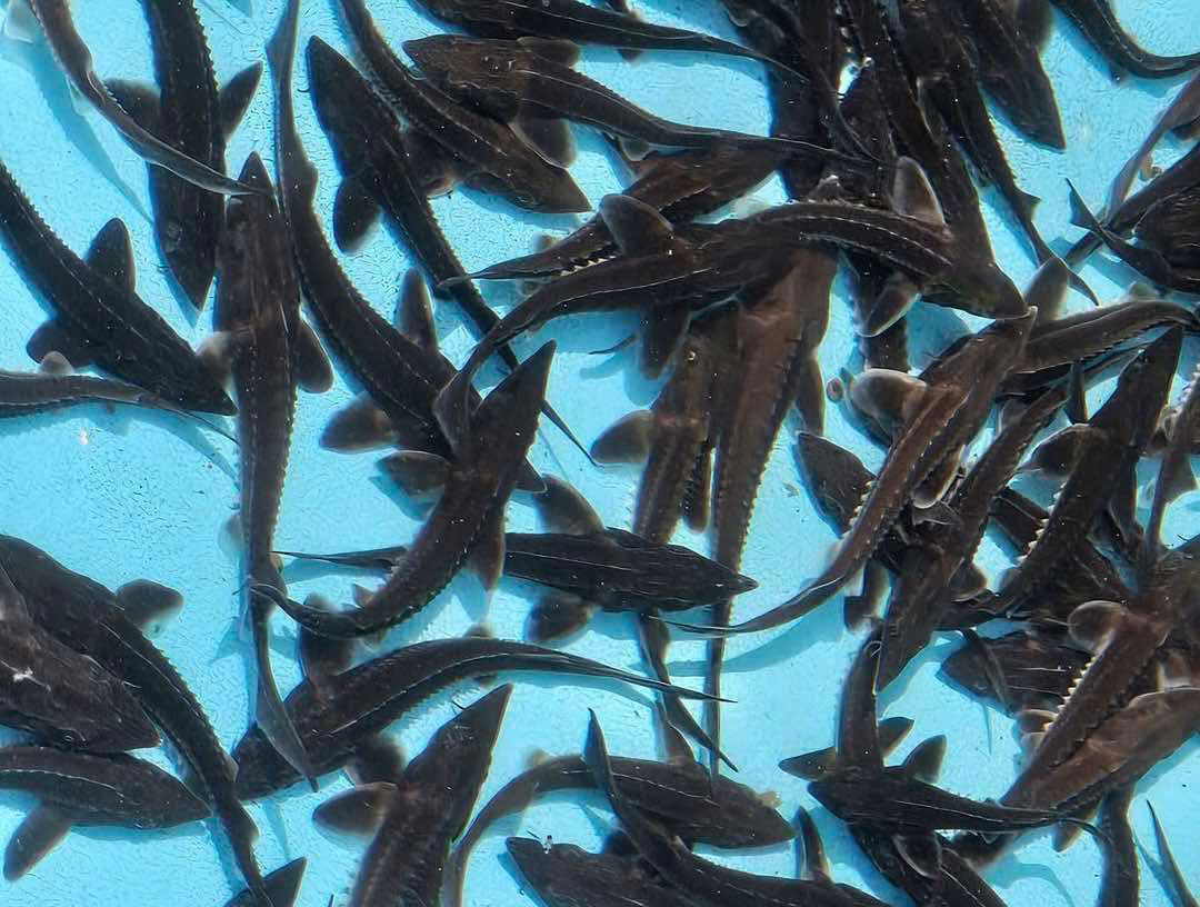 9D6937F7 9048 4CDC BF14 99519C6DB5A9.png