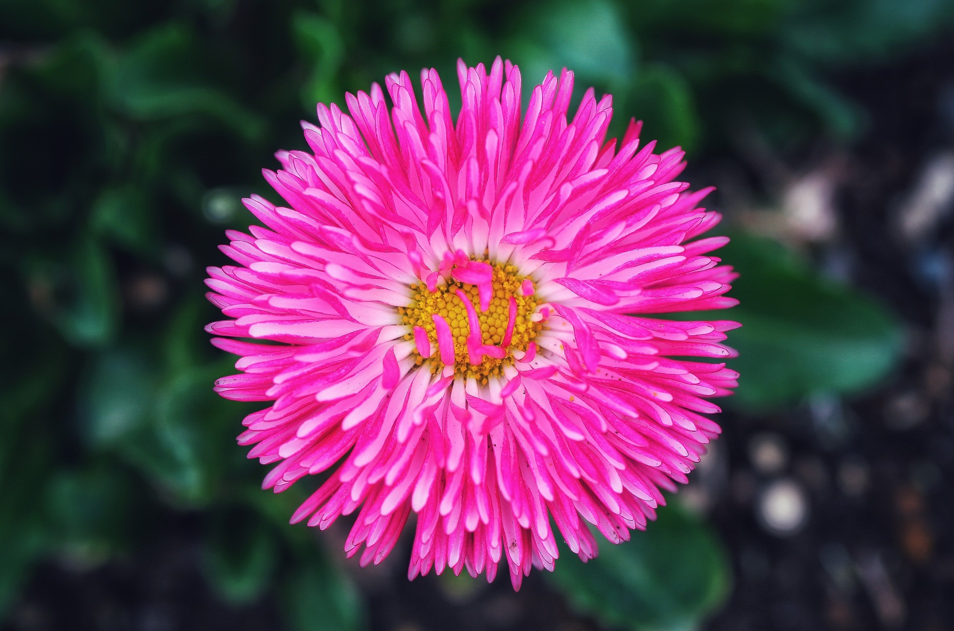 Tháng sinh Âm lịch của người càng sống tử tế càng được quý nhân phù trợ, tiền tài viên mãn- Ảnh 3.